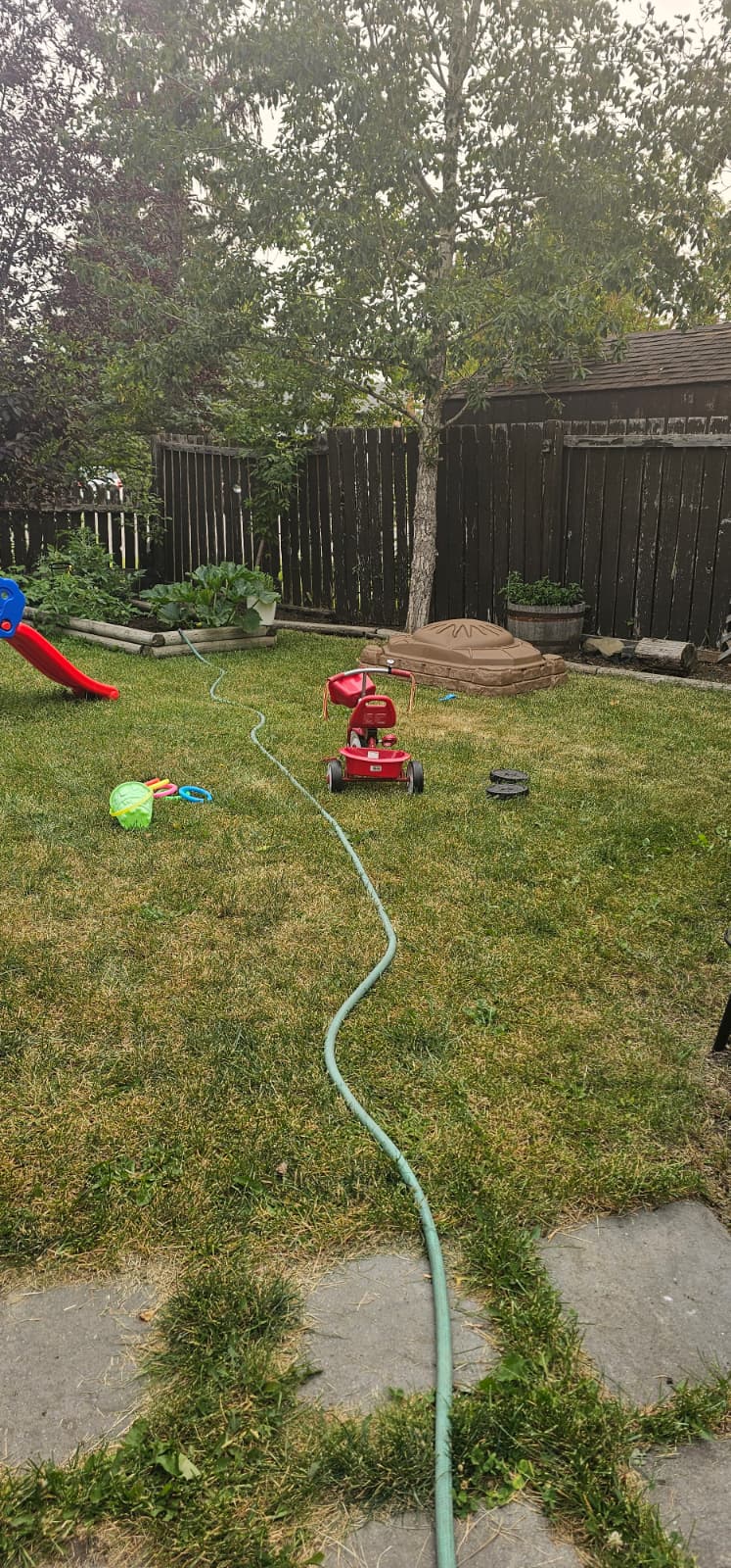Backyard garden play space at the daycare with lawn and outdoor play items